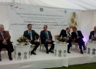 انطلاق مشروع المبادرة للنهوض بالمنظومات الفلاحية دعوة الى ترسيخ ثقافة الزيتونة لدى الشباب للعودة الى فلاحتهم