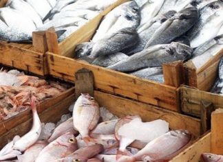 تسجيل تطور بـ 8% في إنتاج الصيد البحري وتربية الأحياء المائية خلال العشرة أشهر الأولى من سنة 2017