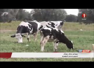 سمير الطيب يدعو إلى ترشيد كل من التوريد والاستهلاك والتقليص من إهدار الغذاء وخاصة الحبوب