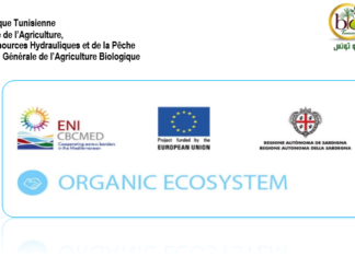 Appel à candidature pour sélectionner des consultants dans le domaine de l’agriculture biologique