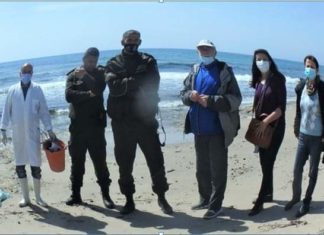 بلاغ توضيحي حول قناديل البحر بشواطئ ولاية نابل