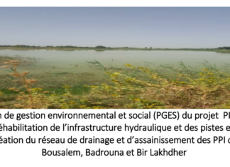 المخطط البيئي و الاجتماعي لمشروع إعادة تهيئة المناطق السقوية ببوسالم وبئر لخضر وبدرونة من ولاية جندوبة