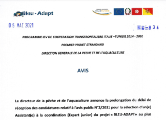 prolongation du délai de réception des candidatures relatif à l’avis public N°2/2021 pour la sélection d’un(e) Assistant(e) à la coordination (Expert junior) du projet « BLEU-ADAPT»