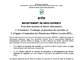 Avis Recrutement de deux experts Pour deux missions de durées déterminées 1- d’Assistance Technique en passation des marchés, et 2- d’Appui à l’animation des Plateformes Filières Locales (PFL)