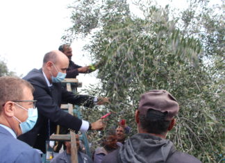 افتتاح موسم وتحويل الزيتون 2021 – 2022 بولاية صفاقس