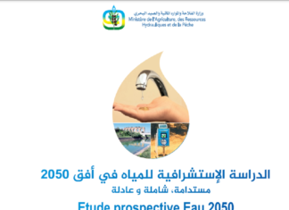 Recrutement d’un Consultant Individuel Ingénieur Conseil en Génie Rural et eau ou spécialité équivalente pour l’Assistance Technique au projet