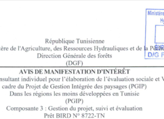 AVIS DE MANIFESTATION D’INTÉRÊT Selection d’un consultant individuel pour I’elaboration de I’evaluation sociale et VBG dans le cadre du Projet de Gestion Integree des paysages (PGIP) Dans les regions les moins developpees en Tunisie (pGJP)