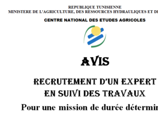 Avis Recrutement d’un expert En suivi des travaux