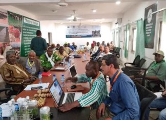 معرض الساحل بالنيجر 2022 : ورشة عمل حول توفير بذور بطاطا