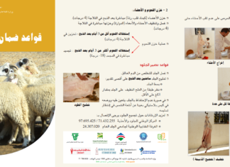 بلاغ حول القواعد الصحيّة لضمان سلامة الأضحية