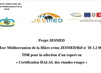 TDR pour la sélection d’un expert en « Certification HALAL des viandes rouges »/AVIS DE SELECTION D’UN EXPERT N˚ 01/2022