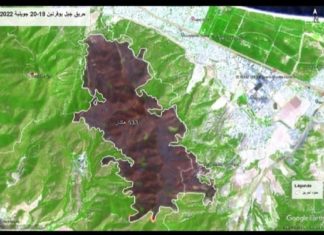 السيطرة نهائيّا على حريق جبل بوقرنين بولاية بن عروس