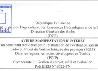Avis de Manifestation d’Intérêt pour la sélection d’un consultant individuel pour l’élaboration de l’évaluation sociale et VBG , dans le cadre du Projet de Gestion intégrée des Paysages (PGIP