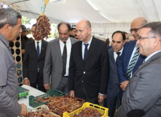 أسبوع التمور