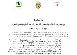 بلاغ مشترك بين وزارات الداخلية والصحة والفلاحة والموارد المائية والصيد البحري حول التصدي لداء الكلب