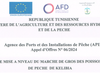 Agence des Ports et des Installations de Pêche (APIP) Appel d’Offres N° 06/2024