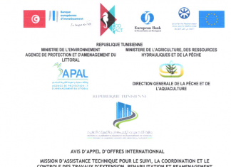 AVIS D’APPEL D’OFFRES INTERNATIONNAL MISSION D’ASSISTANCE TECHNIQUE POUR LE SUIVI, LA COORDINATION ET LE CONTROLE DES TRAVAUX D’EXTENSION, REHABILITATION ET REAMENAGEMENT DU PORT DE PECHE DE MENZEL ABDERRAHMANE ET DE CREATION D’UNE ESPLANADE COTIERE A L’EST DU PORT DE MENZEL ABDERRAHMANE