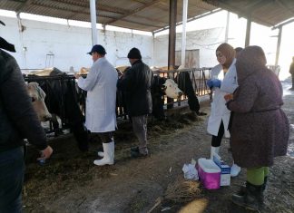 بلاغ حول انطلاق الحملة الوطنيّة الاستثنائيّة ضد مرض الجلد العقدي المعدي عند الأبقار