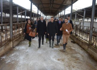 سليانة : وزير الفلاحة يتّخذ عددا من الاجراءات للنّهوض بالمركّبات الفلاحيّة بالمنطقة