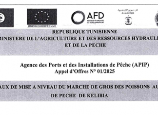 Agence des Ports et des Installations de Pêche (APIP) Appel d’Offres N° 01/2025 TRAVAUX DE MISE A NIVEAU DU MARCHE DE GROS DES POISSONS AU PORT DE PECHE DE KELIBIA