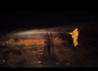 انطلاق عمليات مداواة الجراد بالذّهيبة