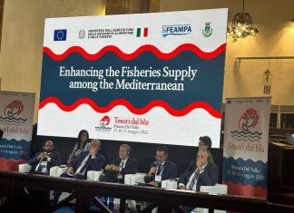 إيطاليا: مشاركة وزير الفلاحة والموارد المائيّة والصّيد البحري في مؤتمر وزاري حول الثّروة السّمكيّة في البحر الأبيض المتوسّط