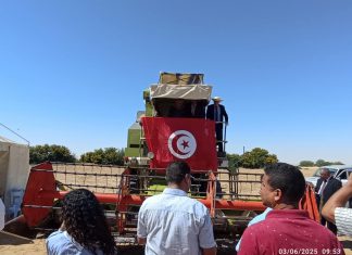 قفصة: إعطاء شارة انطلاق موسم الحصاد من إحدى الضيعات الفلاحية بالعقيلة من معتمدية القصر