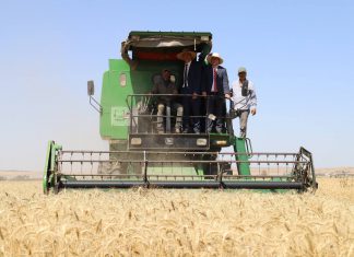 زغوان: وزير الفلاحة يتابع موسم الحصاد والتجميع بالجهة ويوصي بضرورة تجهيز الآلات الحاصدة بوسائل فعّالة للوقاية من الحرائق