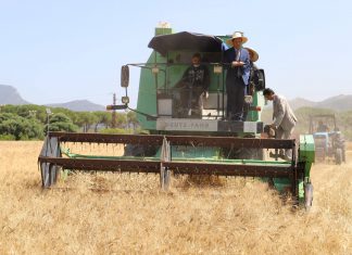 بن عروس: وزير الفلاحة يوصي بمزيد اليقظة للتّصدّي للحرائق