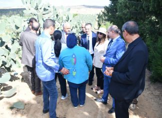نابل: وزير الفلاحة يعاين إجراءات الحد من انتشار آفة الحشرة القرمزية بمواقع إنتاج التين الشوكي ببوعرقوب ويدعو إلى توحيد برامج التدخل