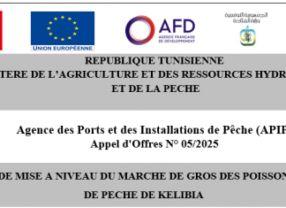 Appel d’Offres N° 05-2025